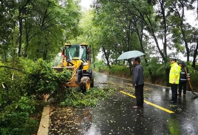  暴雨|受连续暴雨天气影响，天水多条道路通行受阻