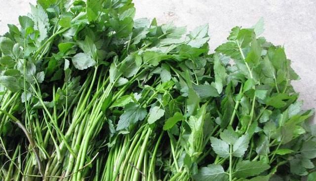 野菜|经常吃此野菜,皱纹斑点不见了,远离妇科疾病