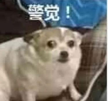 诈骗团伙|00后大学生做兼职却犯罪！背后竟然是……