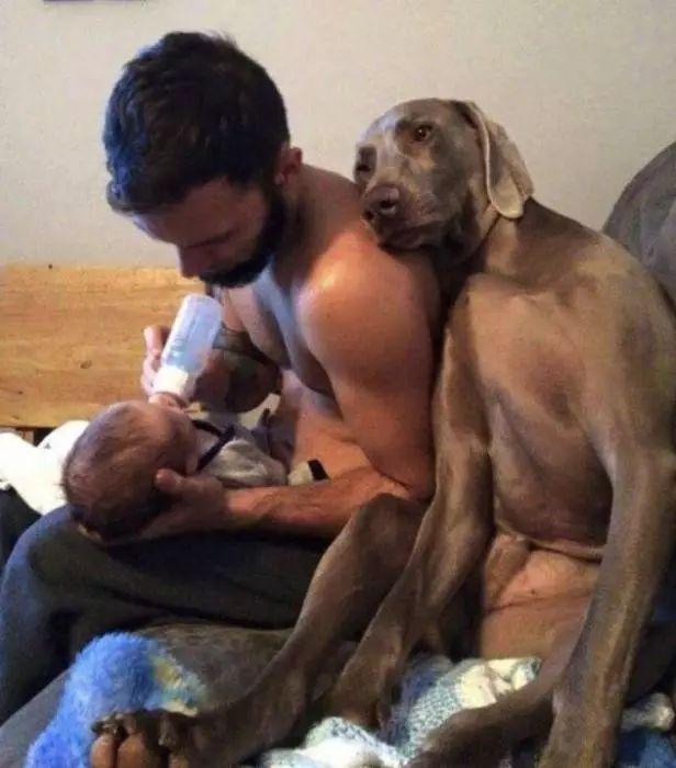 同事怀孕|爆笑段子：未婚妻把我拉进群，里面有老丈人、丈母娘、她和小姨子