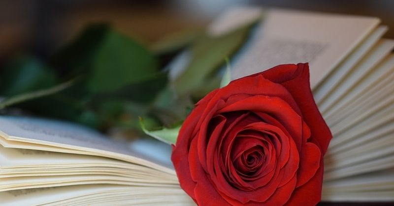 属蛇人|生肖蛇：7月28号开始运势最佳，好运连连，喜事不断，不缺钱财