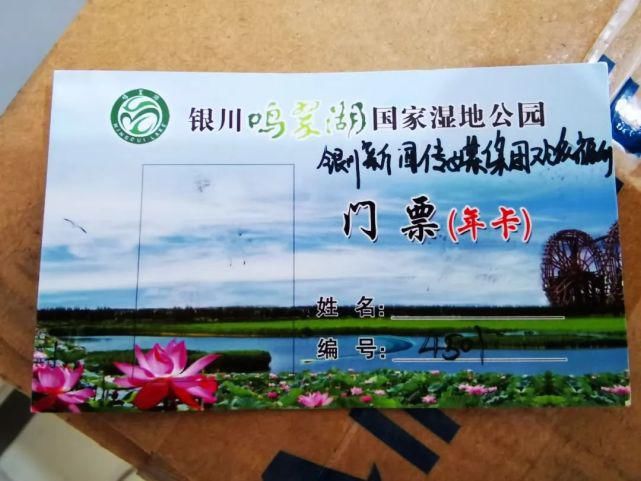 交通事故|鸿胜说交通 || 银川街头两电动车发生碰撞,没戴头盔者果然受伤!