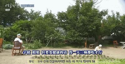  综艺|抛开抄袭风波，确实很治愈……