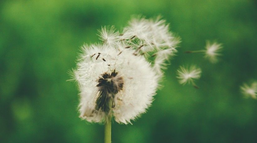  好运|8月开始有好运伴随，事业求财都能够一帆风顺的4星座