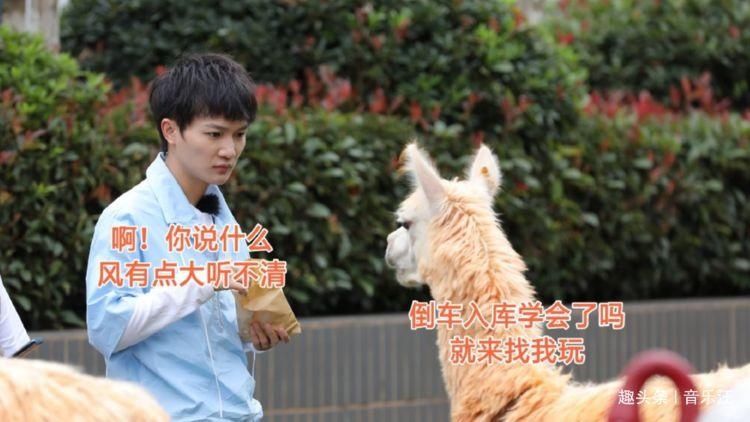  同台|《新手驾到》官宣阵容，歌坛两大新生代齐聚，周深、霍尊终于同台