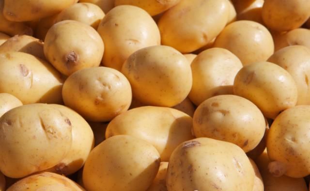 馅料鲜美|秋天此菜正当季,1块钱一斤,做成包子蓬松暄软,比肉包还好吃