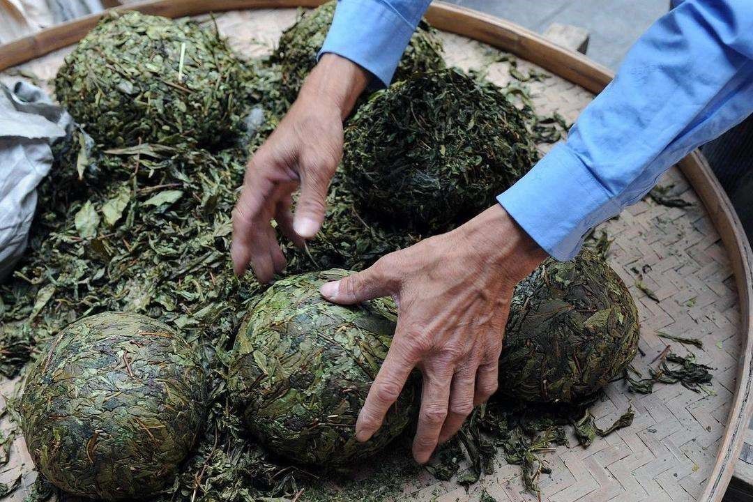 品牌|乌龙茶有千年的历史，如何挑选乌龙茶比较好呢？