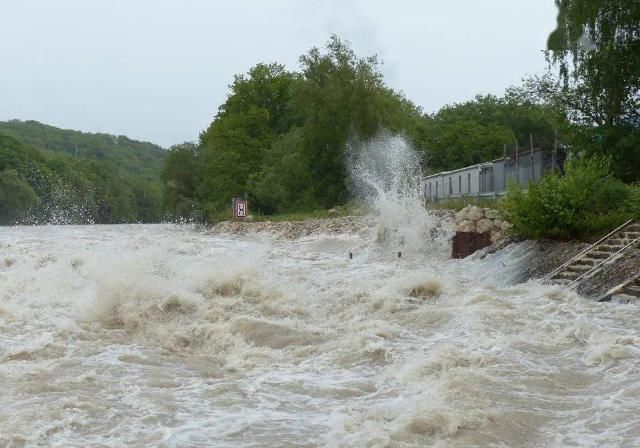  不进食未洗|支招：洪灾过后，肠道传染病防控要点