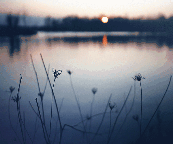  闲则能|偷得浮生，半日闲