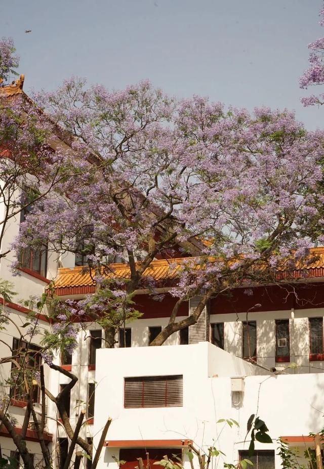 咖啡馆|散步去咖啡馆的人