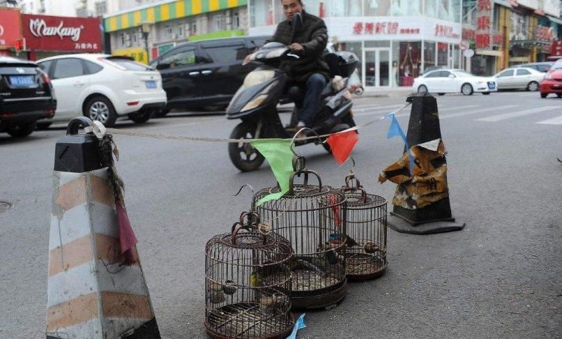  下一|为占车位小伙拼了，烈日下一蹲就是3小时，网友：不丢人吗？