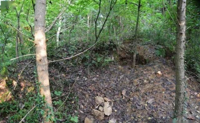 风林|风林：被盗的黄丕烈墓