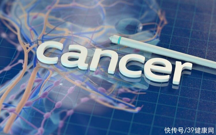 2020年世卫组织公布最长寿的秘诀(世卫组织：日本人不运动，却最健康长寿！原因值得中国人学习)