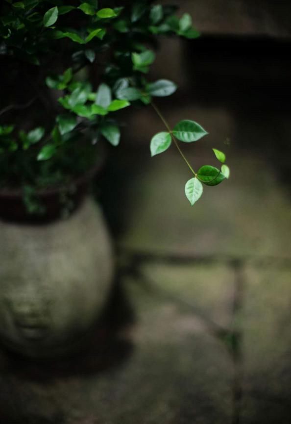  精辟|做人，可以没才， 但千万别没品（精辟）