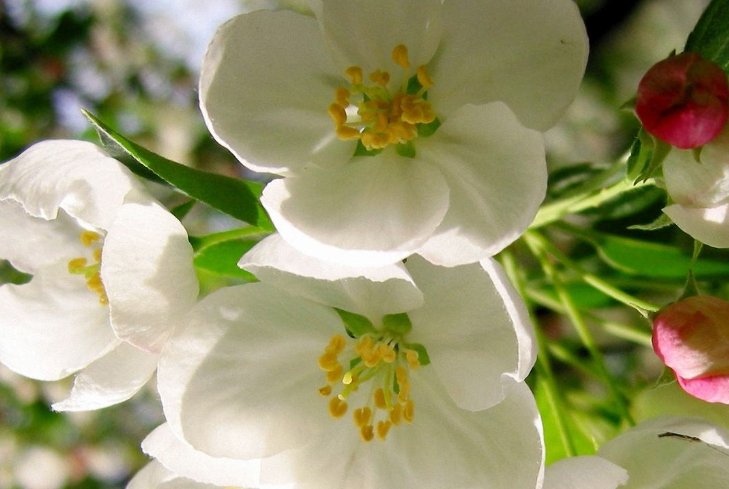 金牛|天秤座: 能让你开心无忧的5个星座, 让人开心、乐观的星座