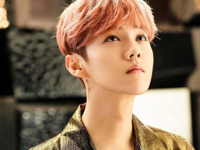  艺人|国内知名流量艺人，曾是exo组合的门面，如今回国发展