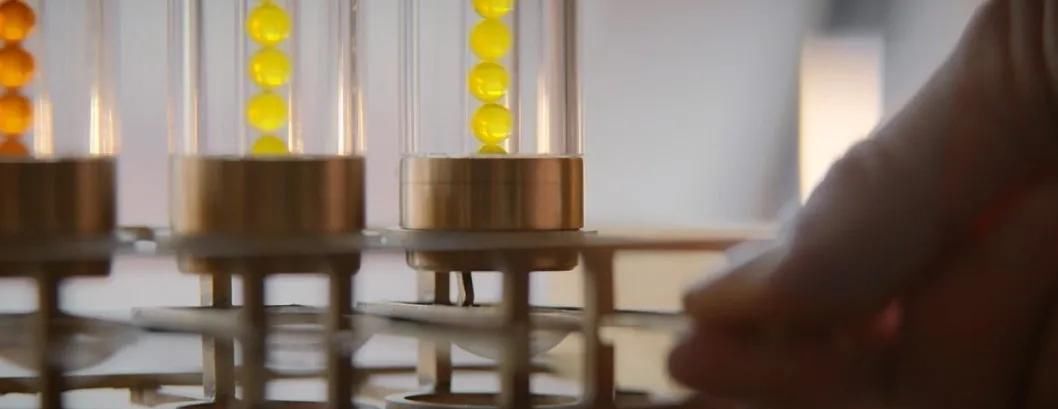  经典|无隐私, 无限制, 今年尺度最大的美剧来了