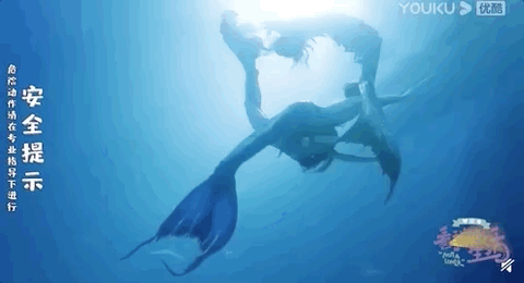  想象|一个人生活，真没有父母想象的那么孤单