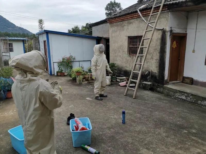  即将|金寨南溪这儿有一个马蜂窝，战斗即将开始！