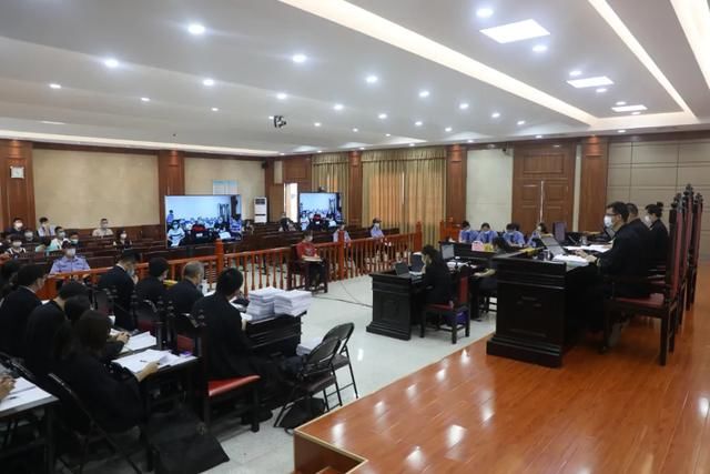  追偿|涉黑组织破坏百亩土地，检察机关追偿近2000万元