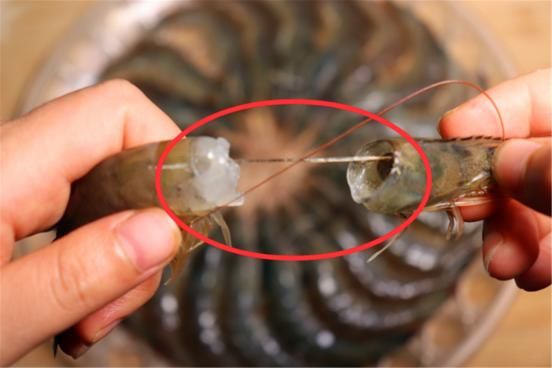  虾线|关于虾线的3个“疑问”，精华是屎？能不能吃？怎么剔除？