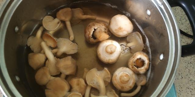  夏天|夏天出汗多，给家人煮这道汤，高蛋白低脂肪，鲜美嫩滑味道真好