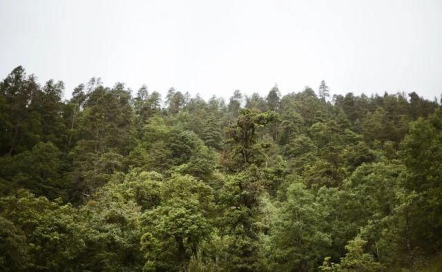  只能|如果今年只能来一次，走这条路线就对了！