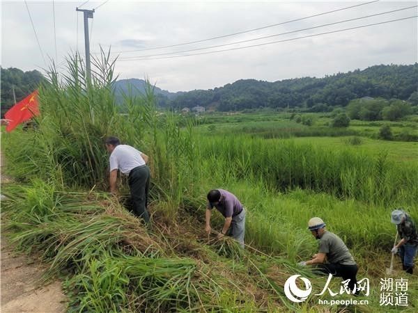 祖国|［网连中国］“只要祖国需要，我们义不容辞”