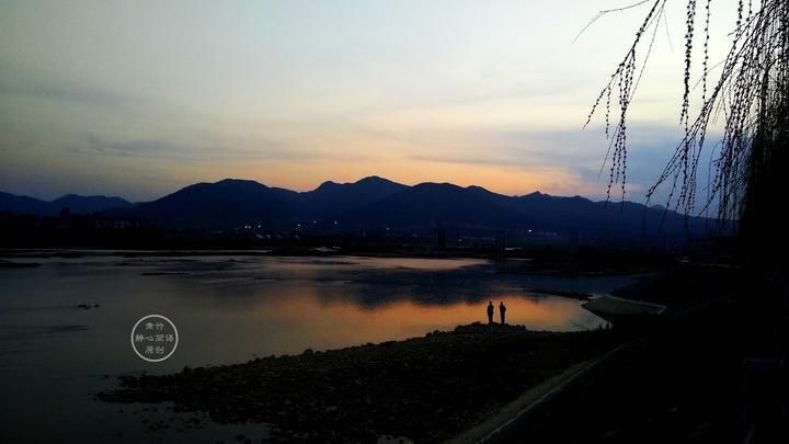  大雁|我们如同大雁，路过别人，也被别人路过