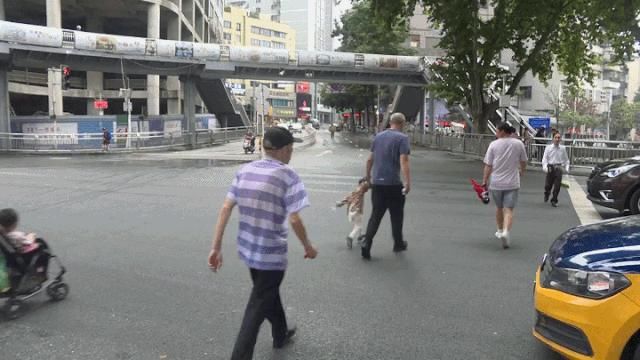 记者|七星关这些人，你们被曝光了！