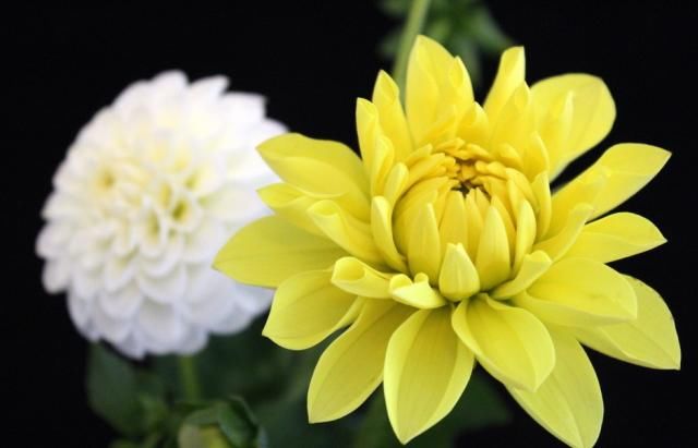  排行榜|十二星座男颜控排行榜，天秤座：颜值能当饭吃