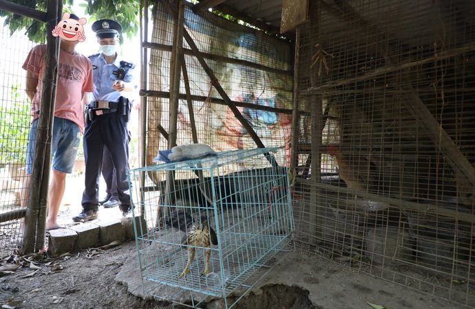 众人|佛山一神奇“偷鸡贼”被抓！“送”到派出所时惊呆了众人