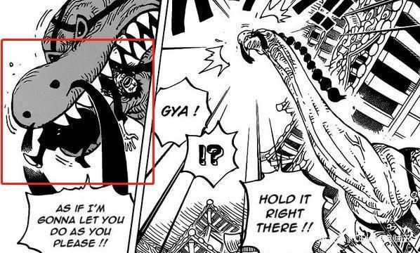 海贼王|海贼王989:草帽团全员集合,大妈开出皇籍,甚平顶替山治的站位