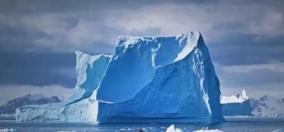 雪白|世界上几种比较有名的白色动物,均有生活在俄罗斯境内,宛如精灵