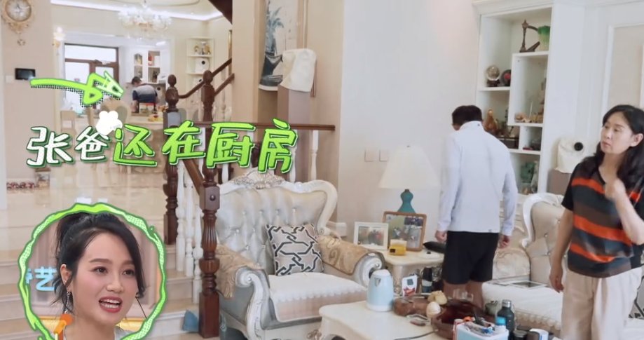  张继科|张继科, 请退出《做家务的男人》!