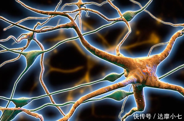 健康|“长寿老人”通常会有4大特征,若占2个以上,一般都很长寿!