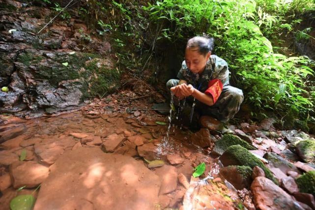 守护|责任重大，他们守护着四面山18万亩国有森林