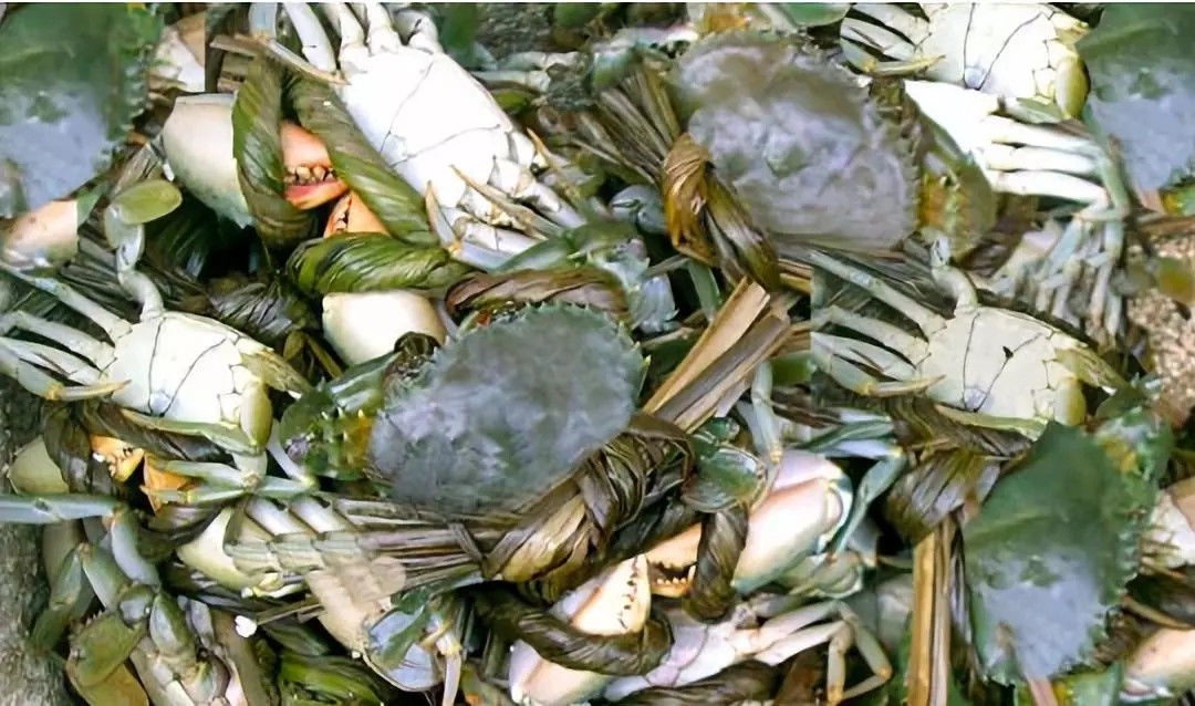 烤饼|衢宁铁路沿线美食大盘点,有你想吃的吗?