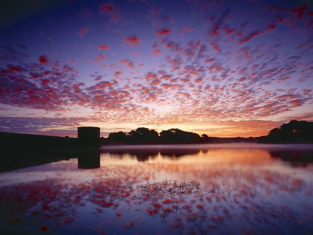 伴奏|家长优秀作品展|《倾听伴奏》