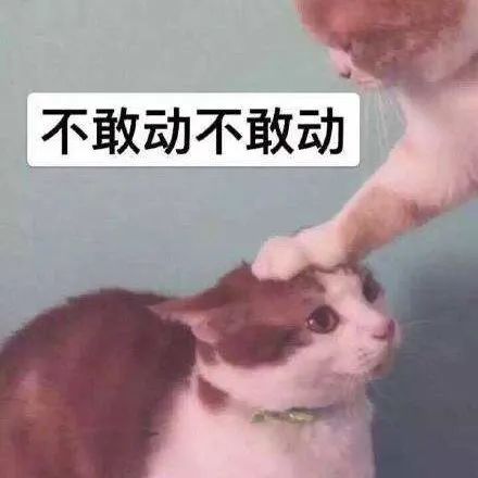  群聊|13人的群聊，却只有他独自“狂欢”