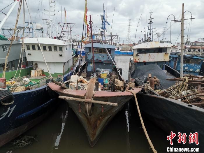 上海|长江“十年禁渔” 上海警方今年已侦破36起非法捕捞案件