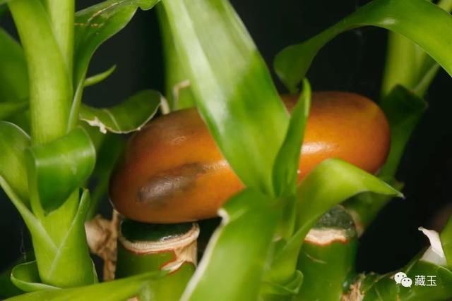  形状|买籽料形状也很重要！