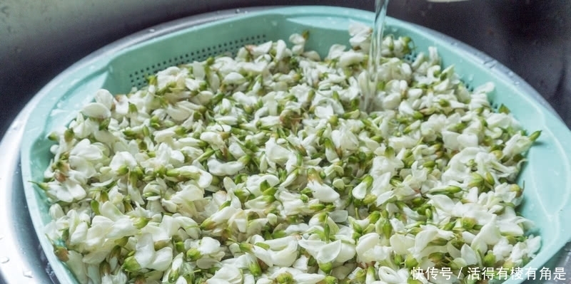 少人|1种“树上花”包饺子味道好,乡下小孩都吃过,价值高而少人知