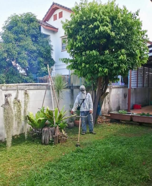  螺丝钉|泰男孩花园玩耍，父亲的割草机突然飞射螺丝钉，直刺眼球深插头骨
