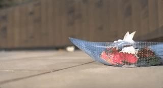 祖国|祖国接你回家！