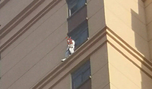 班车司机|「延安一周大事件」班车甩客、大风刮倒4棵树5辆车被砸、少女19楼欲轻生
