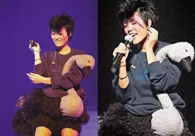 居然|王菲居然都51岁了?她的美丽人生,一直都是「菲」比寻常!