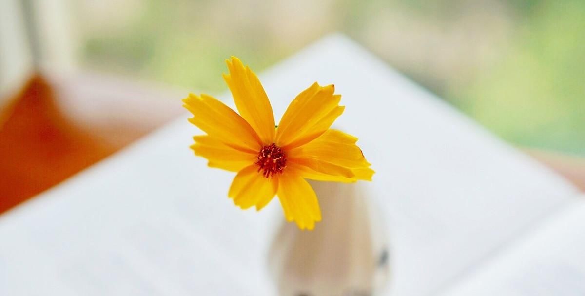  淡然|人生，简单、洒脱、淡然、放下