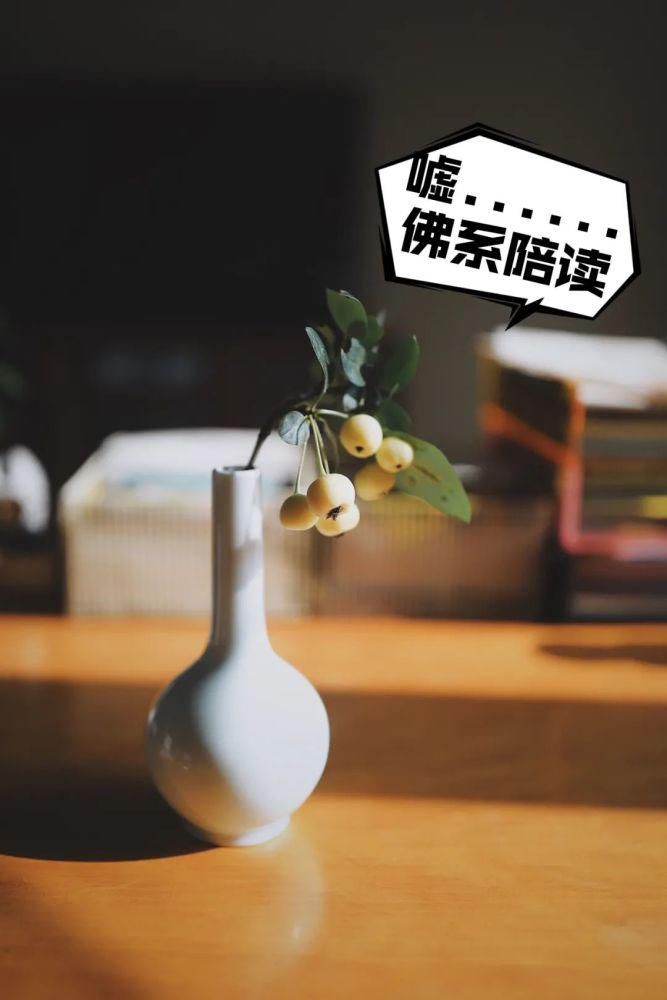  奶奶|我越来越喜欢这样的中国式陪读