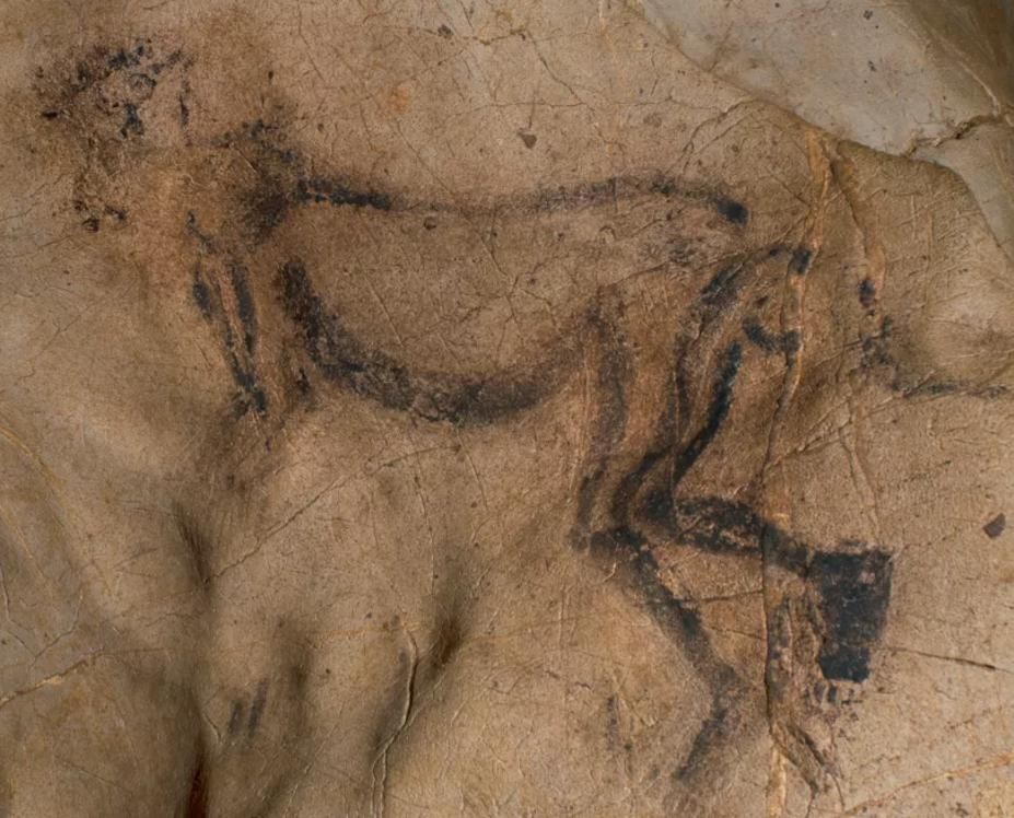 时期|艺术在原始人时期就已萌芽？498元的《史前艺术》告诉你